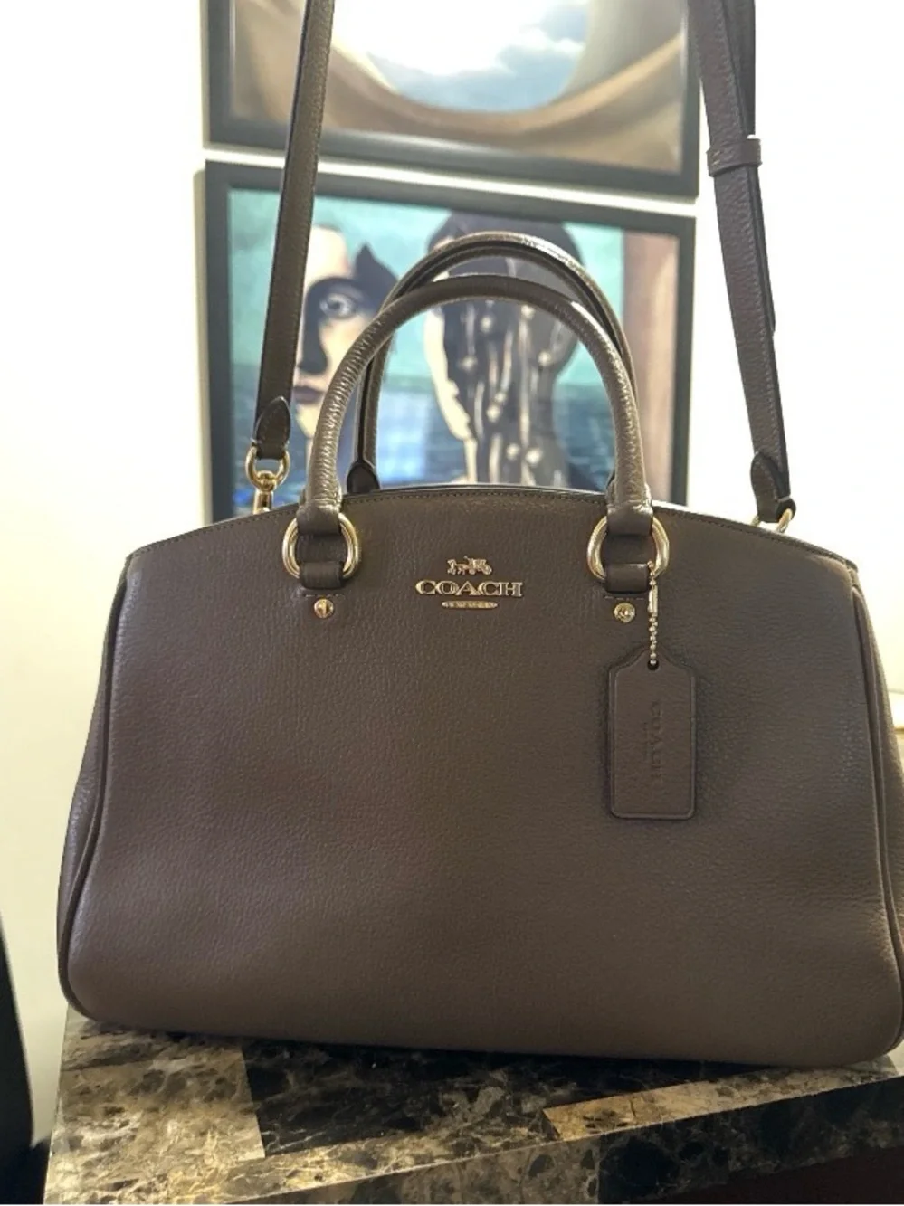 Coach Pebbled Leather Satchel in Dark Brown